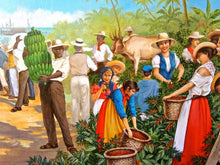 Load image into Gallery viewer, Sun Burst Tarrazu Medium Roast